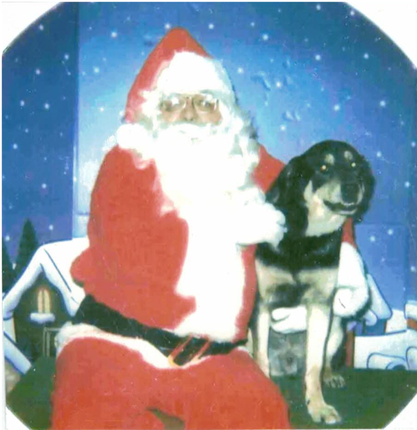 Santa's Dog