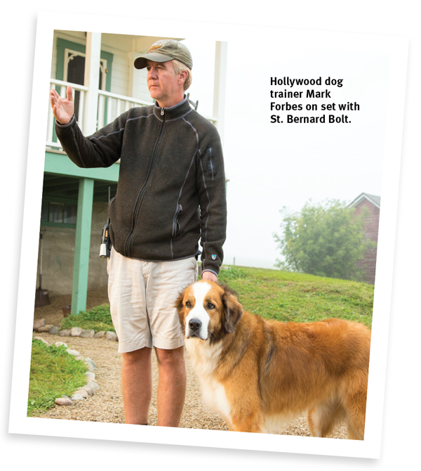 Going To The Dogs: What It's Like To Be A Hollywood Dog Trainer | Modern Dog  magazine