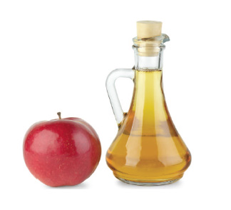 Apple cider vinegar (ACV) is great for helping dog's with high cholesterol