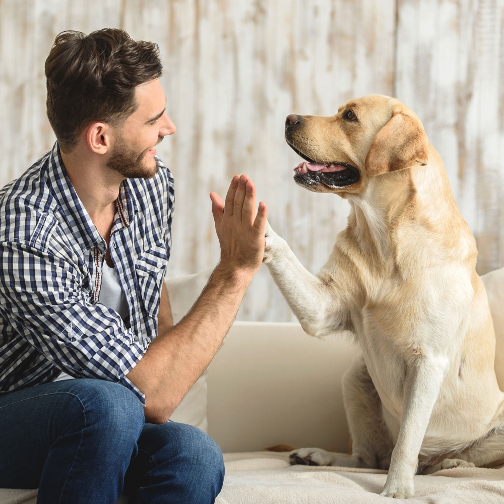man giving his dog a high five
