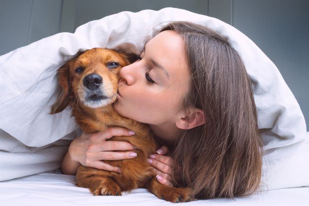 do dogs like when humans kiss them