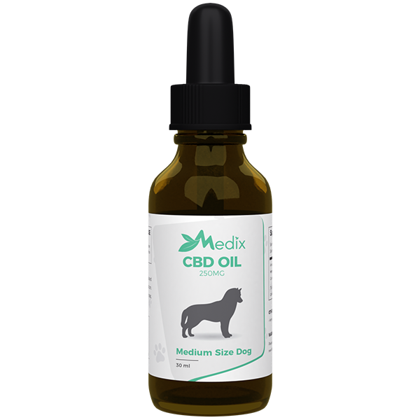 bacon-flavoured CBD oil that can help ease your dog's anxiety or pain