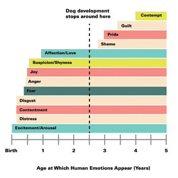 Dog development schedule and levels of dog emotion 