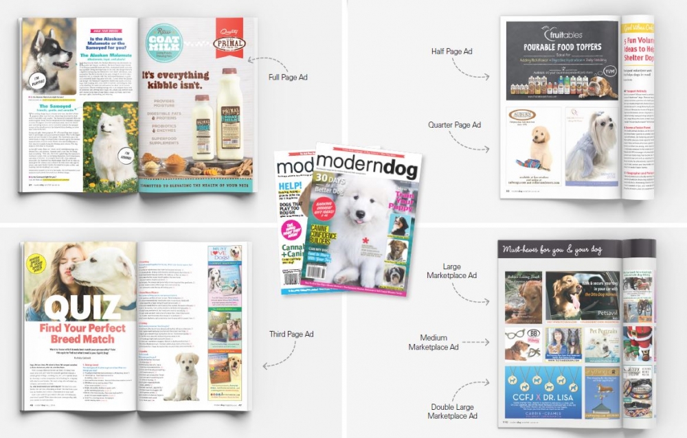 Download Your Free Copies of Modern Dog and Modern Cat Magazines! | Modern  Dog magazine