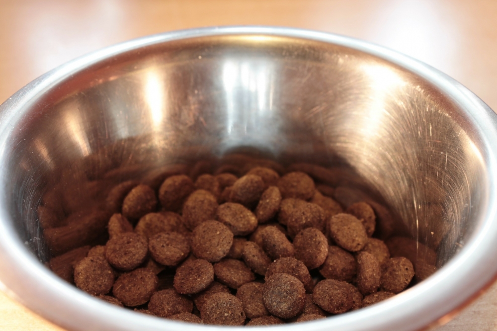 switch your commercial dog food for a healthier alternative