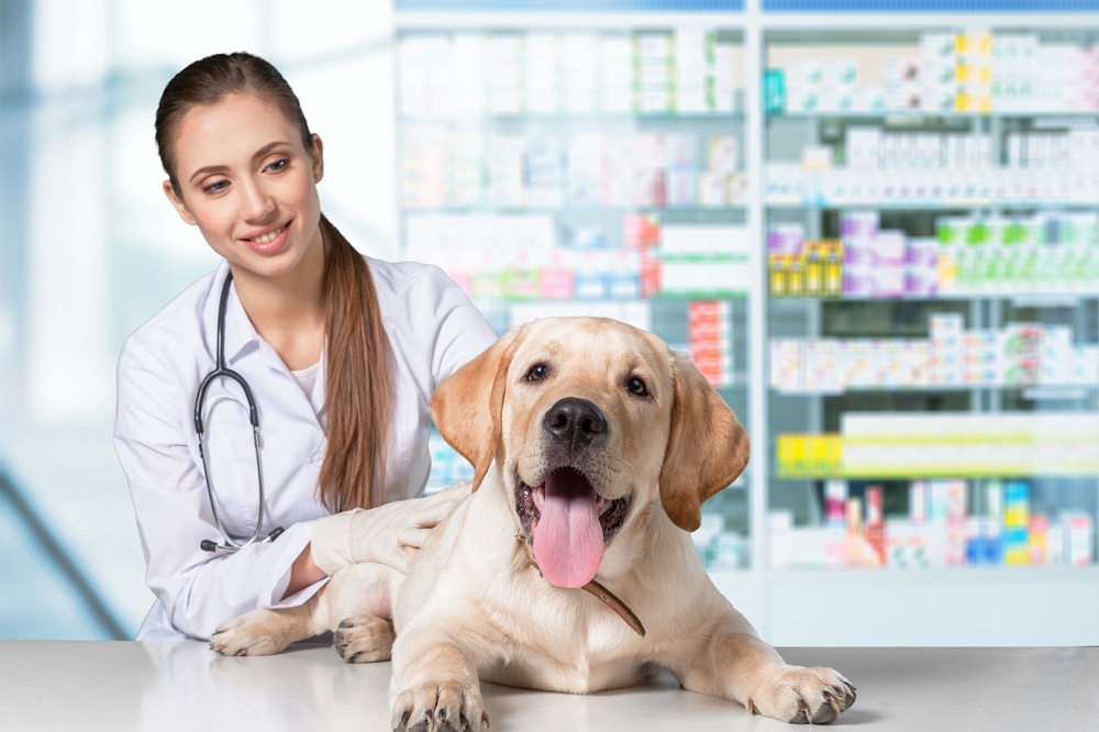 good rx drugs for pets