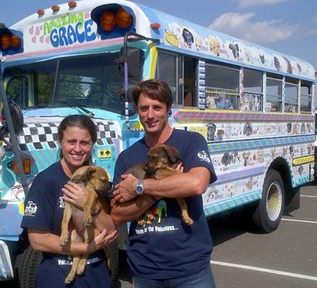 Clear the Shelters! Rescue Transport to Save Over 350 Dogs From Euthanasia  | Modern Dog magazine