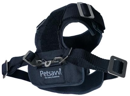 Otto Dog Harness from Petsavvi