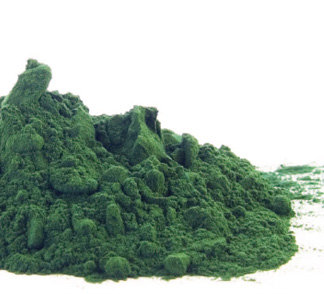 Spirulina is high in protein, minerals and is a great additive for dogs