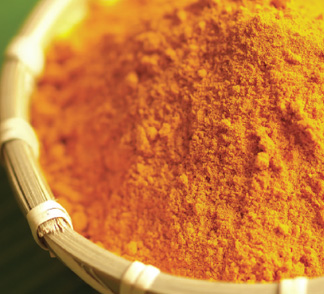 Tumeric helps prevent cancer and is a great spice to add to dog's food 