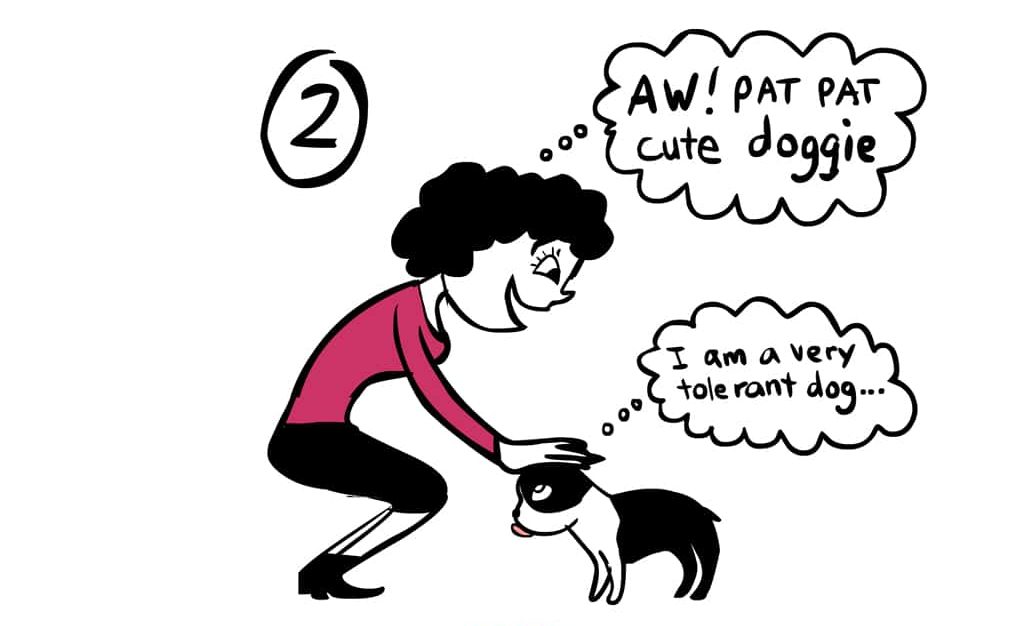 Lili Chin - How Not To Greet A Dog