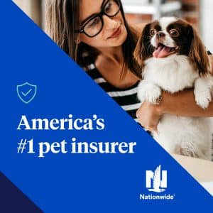 Pet Insurance for your dog