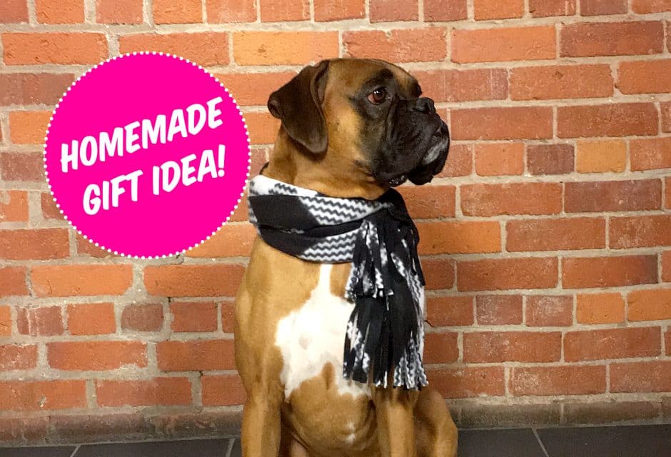 DIY dog scarf