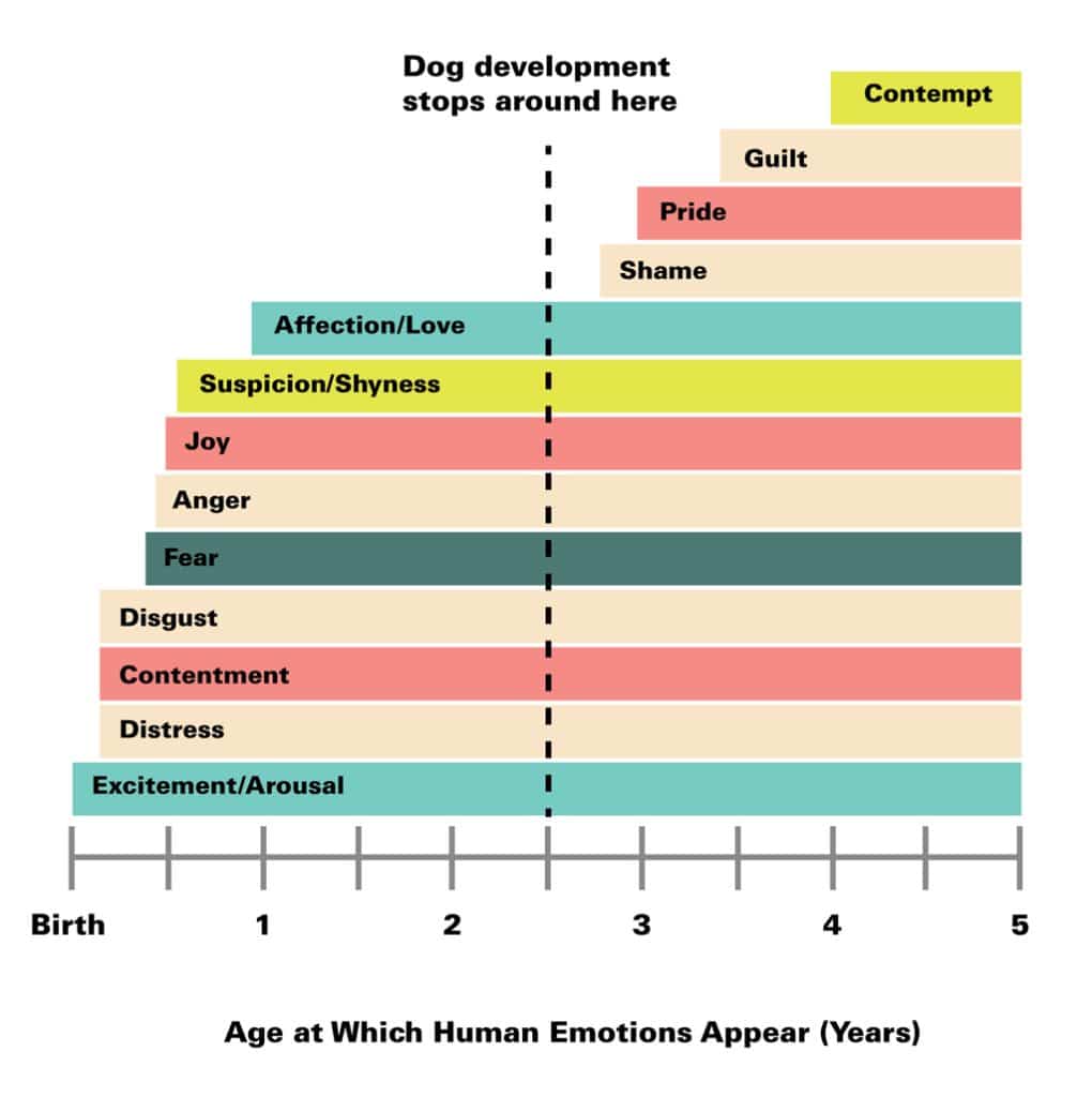 Dog emotional development chart