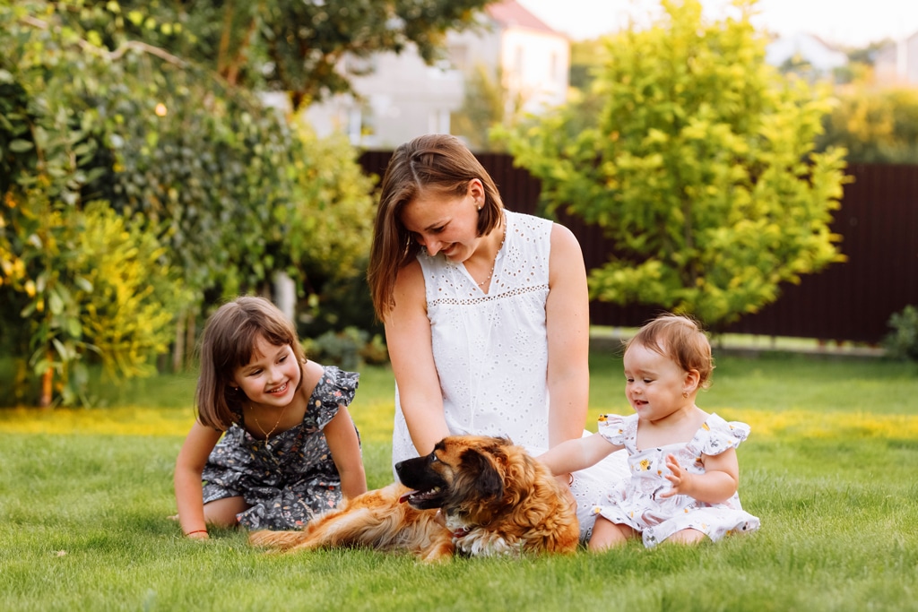 Happy family in yard playing with dog