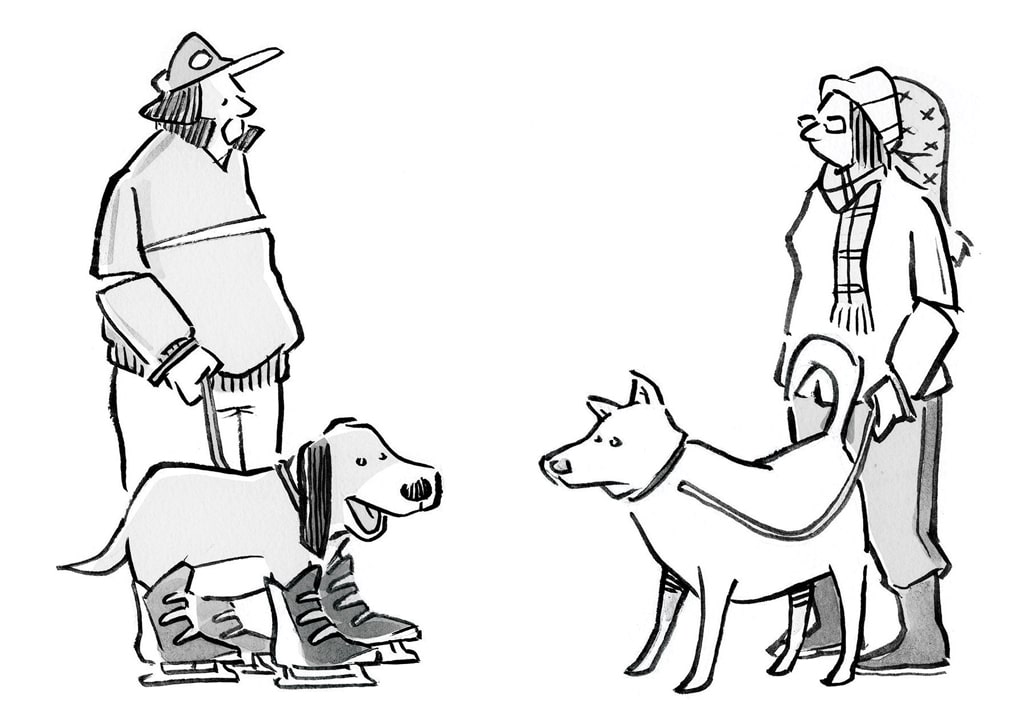 dog cartoon, enter Modern Dog's cartoon caption contest