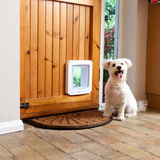 Pet door that opens with microchip best sale