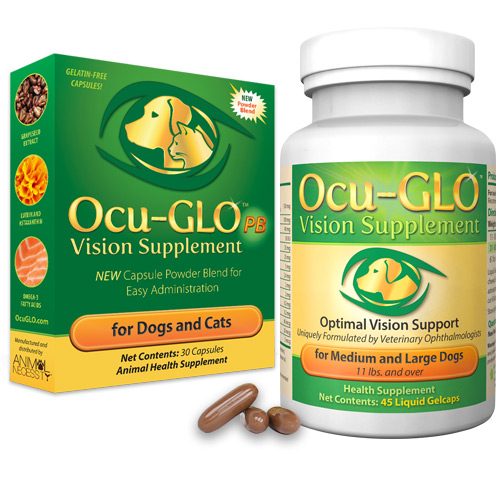 Ocu glo powder best sale