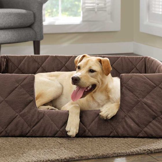 Portable dog bed best sale