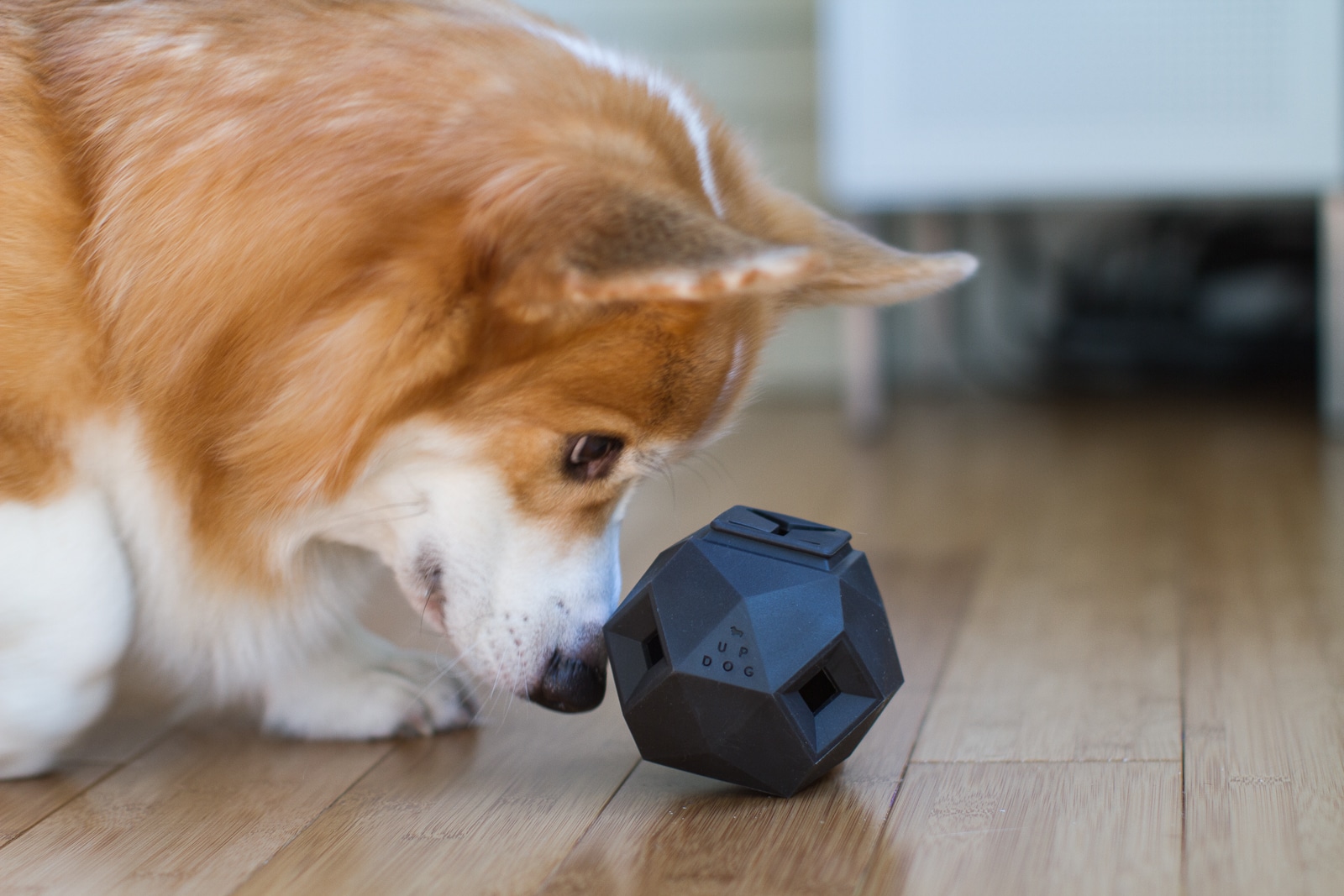 The Odin Dog Treat Puzzle Toy