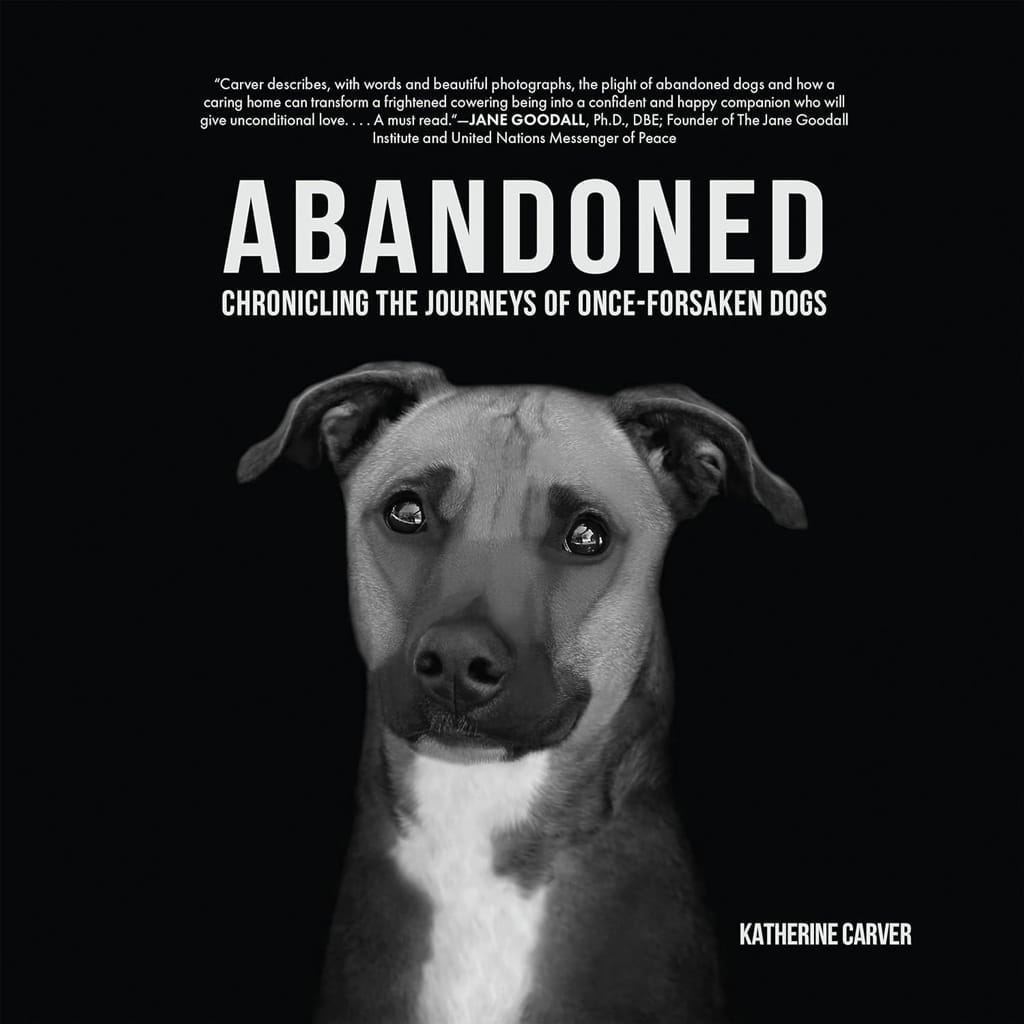 Abandoned: Chronicling the Journeys of Once-Forsaken Dogs By Katherine Carver