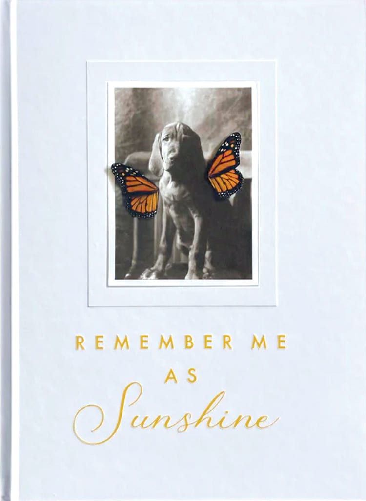 Remember Me As Sunshine