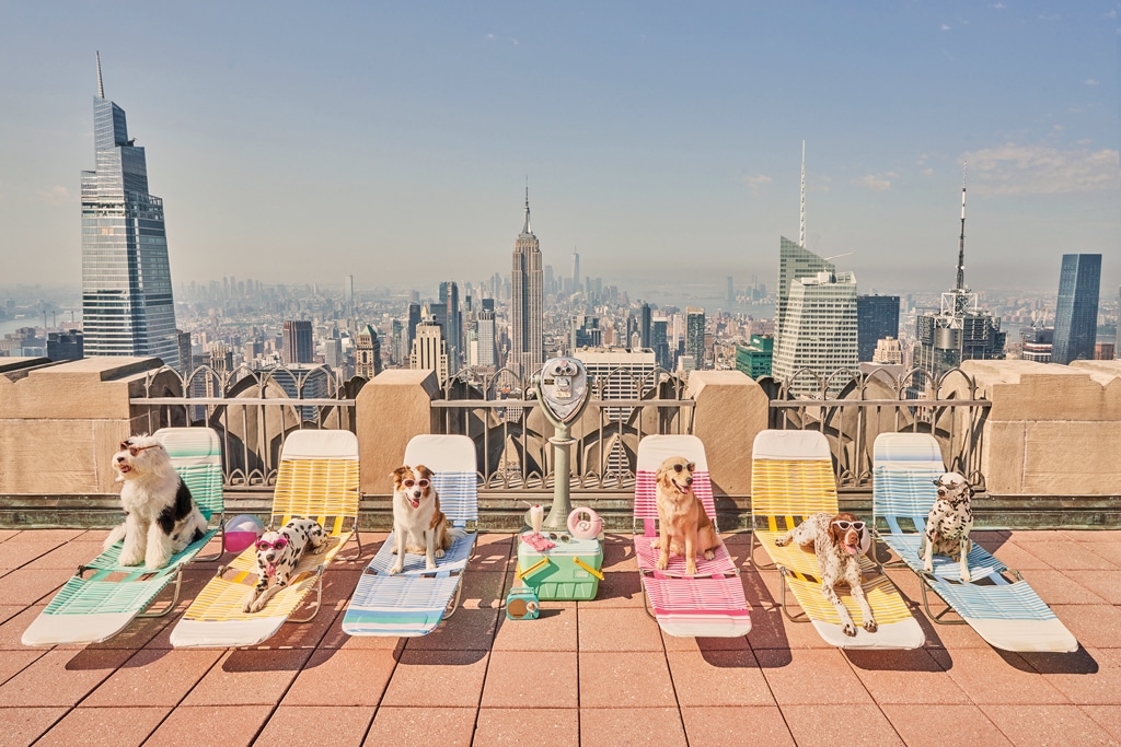 Gray Malin's Sunbathers, Top of The Rock