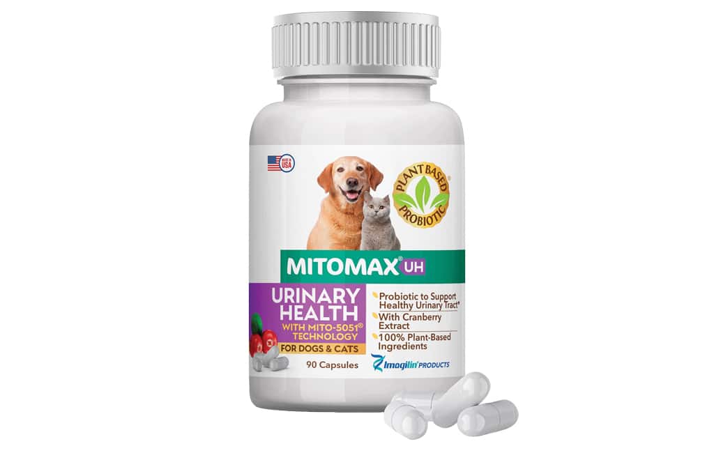 Mitomax Urinary Health