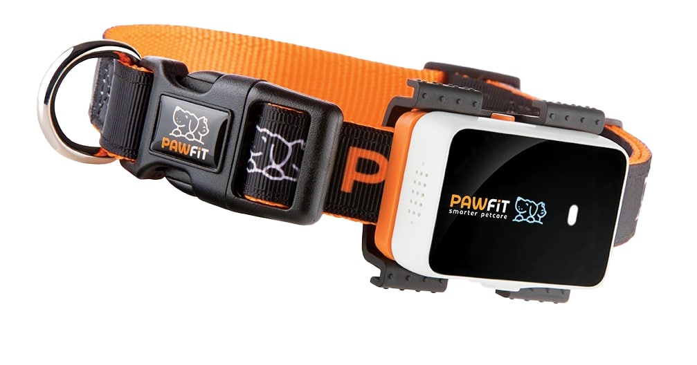 Pawfit pet GPS tracker