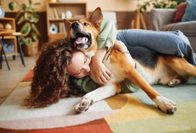 Happy dog playing with owner