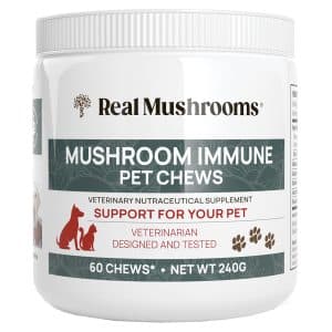 Real Mushrooms