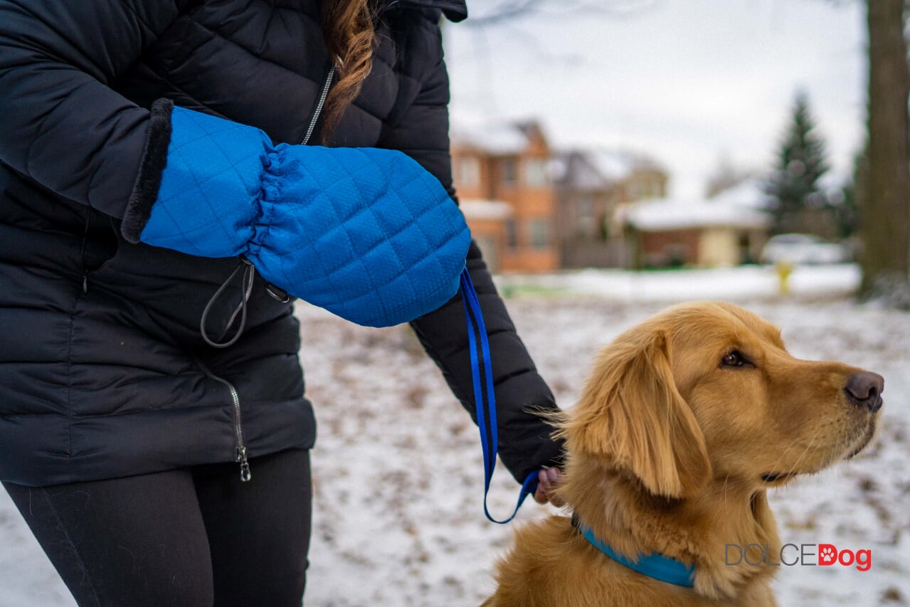 DOLCEDog - The Leash Mitten 