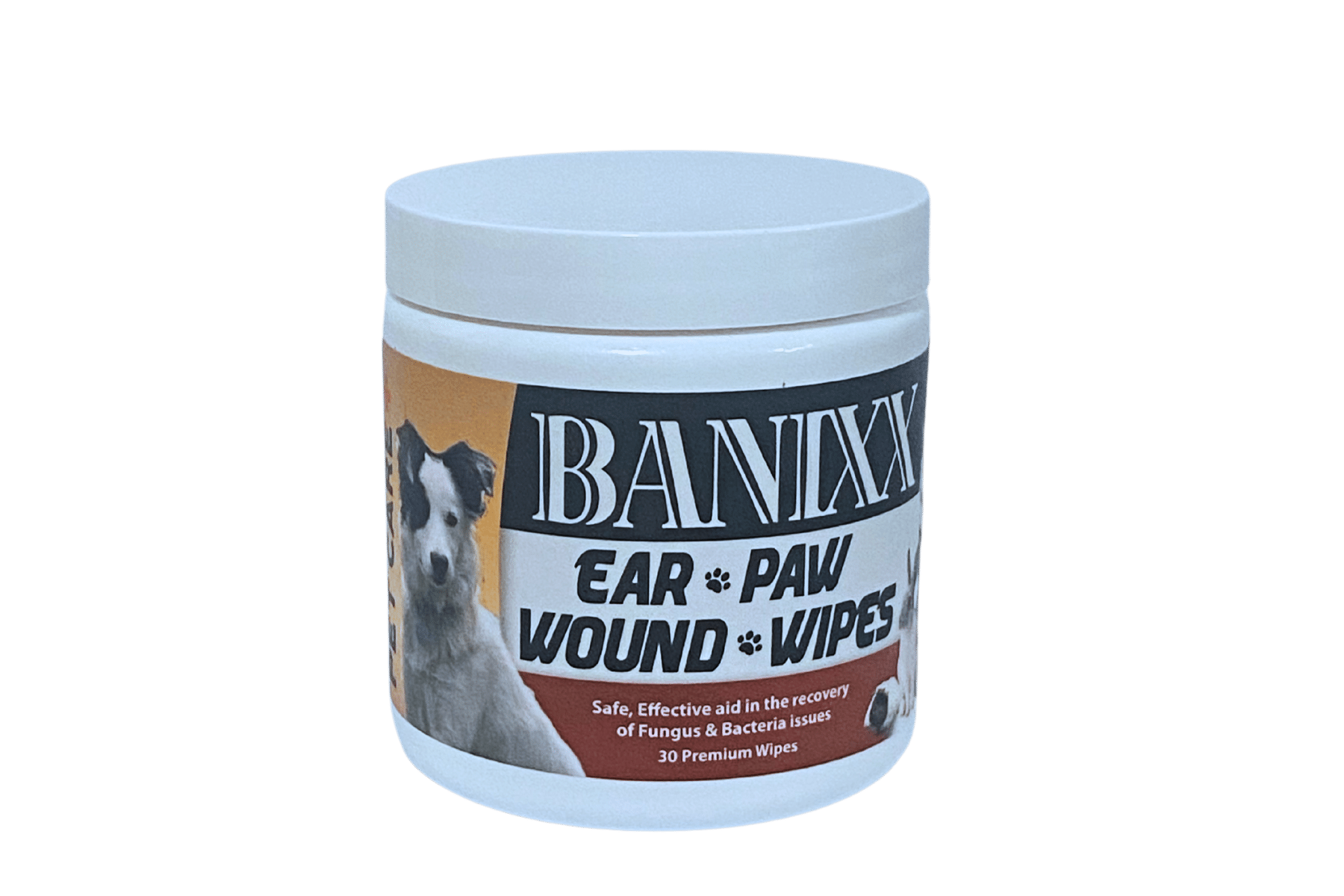 Banixx Pet Wipes 