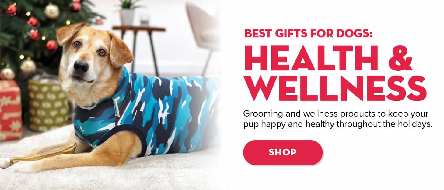 Dog - Health Wellness